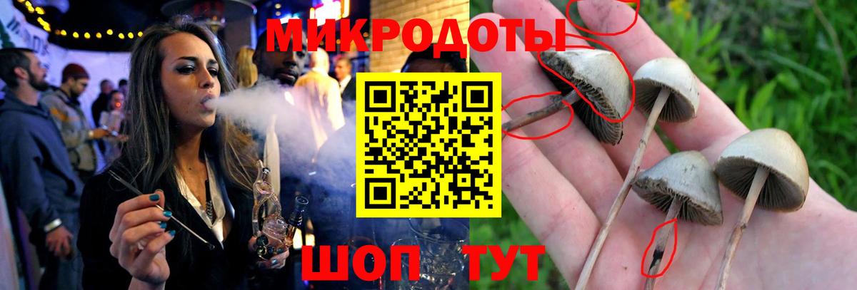 Псилоцибиновые грибы GOLDEN TEACHER  Вход с VPN  Галлюциногенные грибы ЛСД  Архангельск 